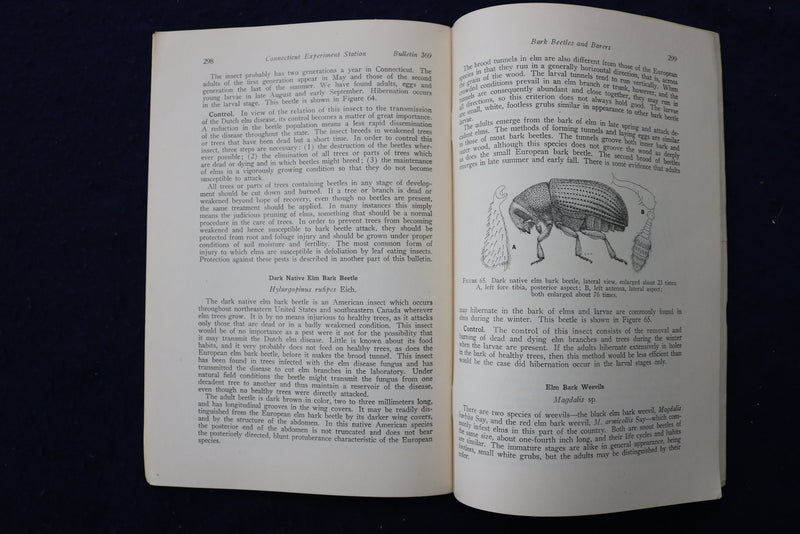 1935 INSECT PESTS OF ELMS IN CONNECTICUT SOFTCOVER BOOK - K 1413