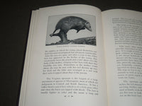 1928 THE MAMMALS OF PENNSYLVANIA BY SAMUEL HOWARD WILLIAMS BOOK - KD 4129