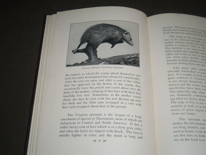 1928 THE MAMMALS OF PENNSYLVANIA BY SAMUEL HOWARD WILLIAMS BOOK - KD 4129
