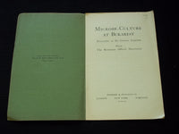 1917 MICROBE-CULTURE AT BUKAREST SOFTCOVER BOOK - GERMAN LEGATION - J 7168