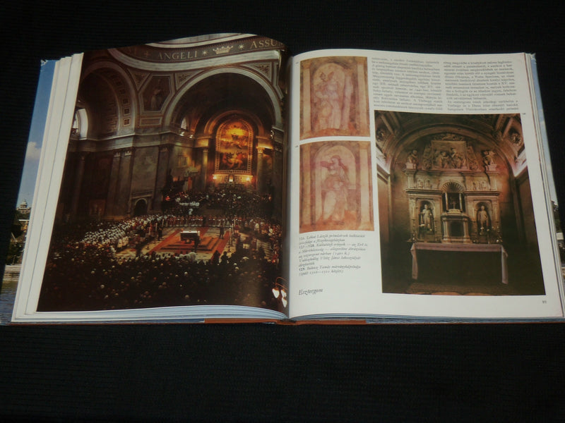 1980 MAGYARORSZAG HARDCOVER BOOK BY HALASZ ZOLTAN - KIADO - R 723B