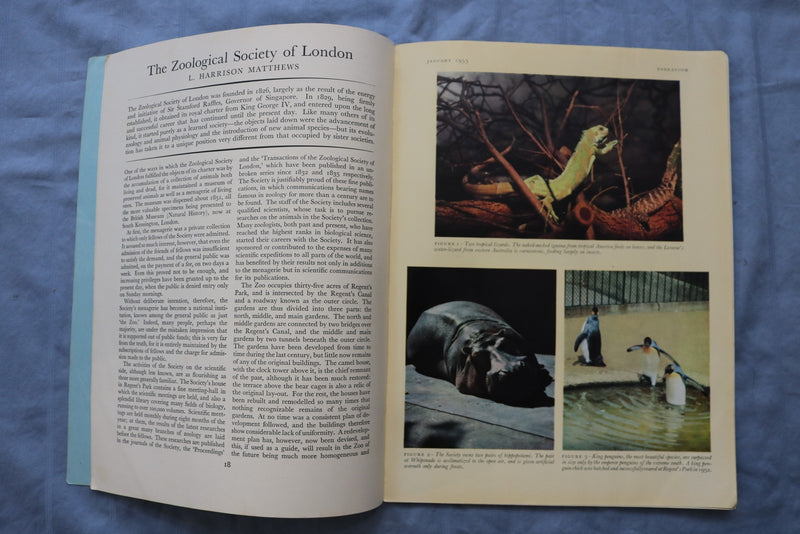 1953-1955 ENDEAVOR QUARTERLY REVIEW MAGAZINE - LOT OF 7 - O 3907