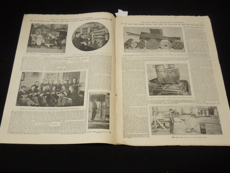 1902 OCT 12 NEW YORK TRIBUNE ILLUSTRATED SUPPLEMENT - H. K. BUSH-BROWN - NP 9017