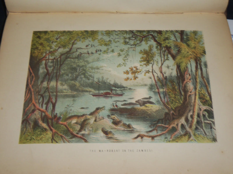1870'S THE LIFE & EXPLORATIONS OF DR. LIVINGSTONE VOLUME - COLOR ILLUS. - Z 177