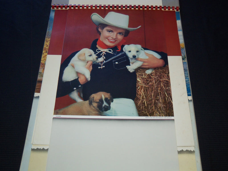 1957 SUPERIOR GIFT LINE HANGERS CALENDAR SALESMAN SAMPLE SHEETS BOOK - C 7