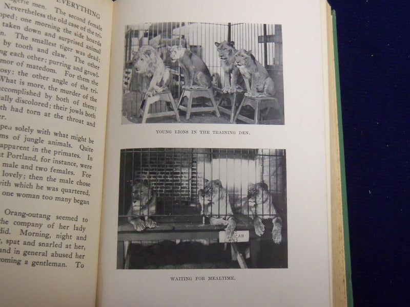 1925 LIONS 'N' TIGERS EVERYTHING HARDCOVER BOOK BY COURTNEY COOPER - KD 3867P