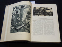 1905-1906 WUNDER DES LEBENS VOLUME LOT OF 2 - VOLUME 13 & 14 - GERMAN - KD 1870I