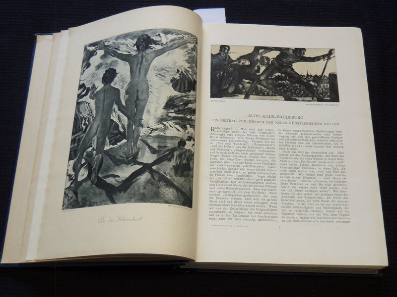 1905-1906 WUNDER DES LEBENS VOLUME LOT OF 2 - VOLUME 13 & 14 - GERMAN - KD 1870I