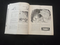 1913 AUGUST 14 LIFE MAGAZINE - SUMMER JOYS - L 758A