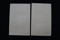 1919 JANUARY 11 & 12 GRAND OPERA HOUSE PROGRAMS - LOT OF 2 - K 1873