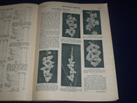 1924 JUNE THE FLOWER GROWER MAGAZINE - MISS ISABEL GARDERN - ADS - J 1205