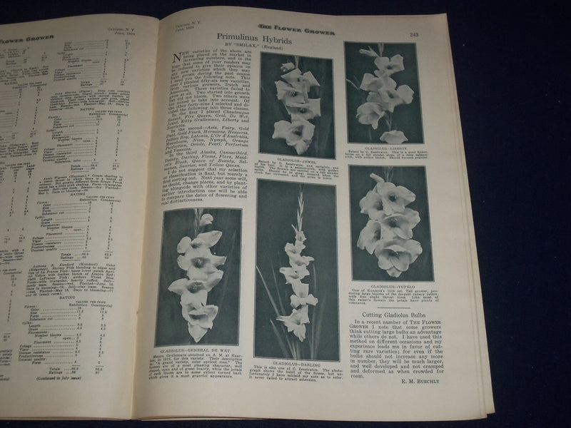 1924 JUNE THE FLOWER GROWER MAGAZINE - MISS ISABEL GARDERN - ADS - J 1205