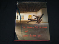 1985 WHITNEY MUSEUM OF AMERICAN ART HARDCOVER BOOK BY PATTERSON SIMS - R 714T