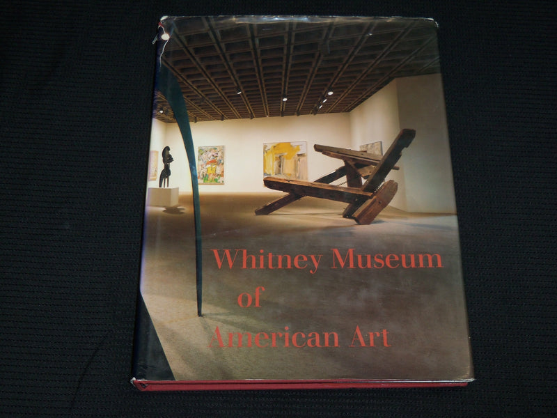 1985 WHITNEY MUSEUM OF AMERICAN ART HARDCOVER BOOK BY PATTERSON SIMS - R 714T