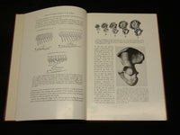 1958 INJURIES AND SURGICAL DISEASES OF THE ISCHIUM BOOK HENRY MILCH - KD 2768L