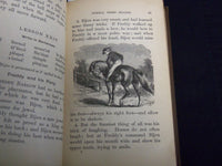 1884 THE NEW NORMAL THIRD READER VOLUME BY ALBERT RAUB LOT OF 2 - KD 4814U