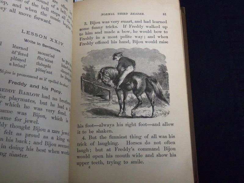 1884 THE NEW NORMAL THIRD READER VOLUME BY ALBERT RAUB LOT OF 2 - KD 4814U