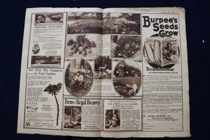 1924 FEB 10 NY TRIBUNE GARDEN GRAPHIC SECTION- PEARL WHITE-ELSIE JANIS - NP 8757