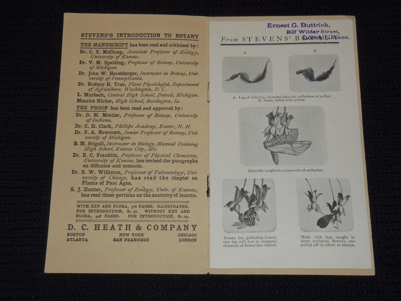 1900'S INTRODUCTION TO BOTANY BY WM. STEVENS - D. C. HEATH & CO. - J 7960