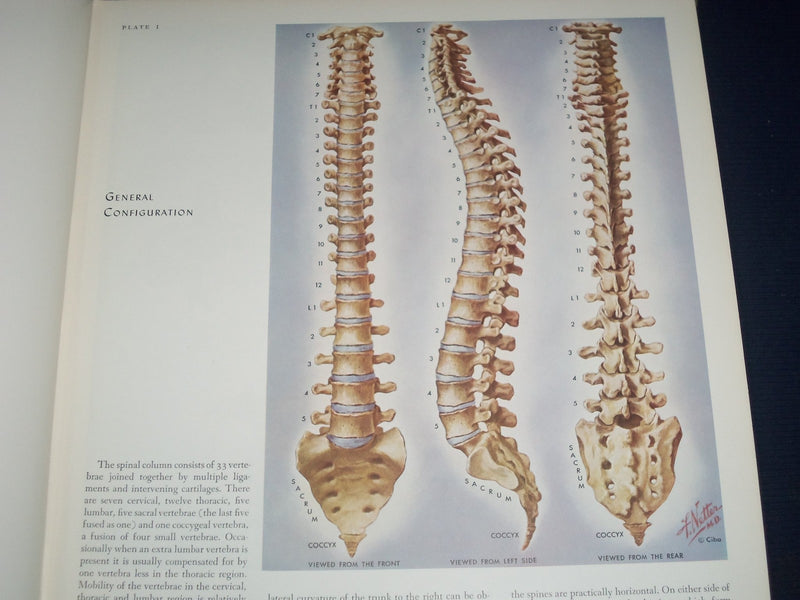 1964 CIBA COLLECTION OF MEDICAL ILLUSTRATIONS VOL NO. 1 - NERVOUS SYS. - KD 2343