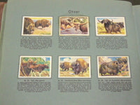 1930'S RICH'S SERIE AF DYRENES VERDEN ANIMAL TOBACCO CARDS ALBUM - KD 3181