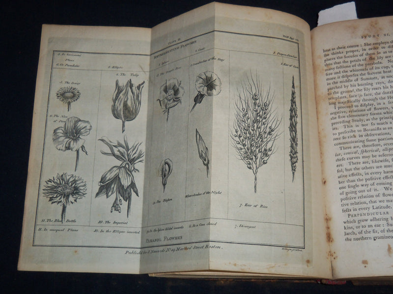 1797 STUDIES OF NATURE - BERNARDIN - HENRY HUNTER - VOLUME LOT OF 3 - KD 4671H
