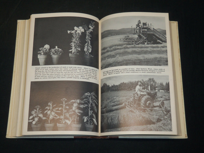 1961 SEEDS THE YEARBOOK OF AGRICULTURE BOOK - U. S. DEPT AGRICULTURE - KD 2756Q