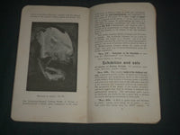 1911 GLACIER GARDEN LUCERNE SOFTCOVER BOOK - SWITZERLAND - J 3934