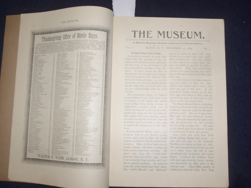 1894 NOV & DEC THE MUSEUM MAGAZINE - ISSUES #1 AND #2 - LOT OF 2 - J 9775