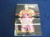 1991 WRESTLING FURY MAGAZINE - THE FOUR HORSEMEN COVER - ST 4628Z