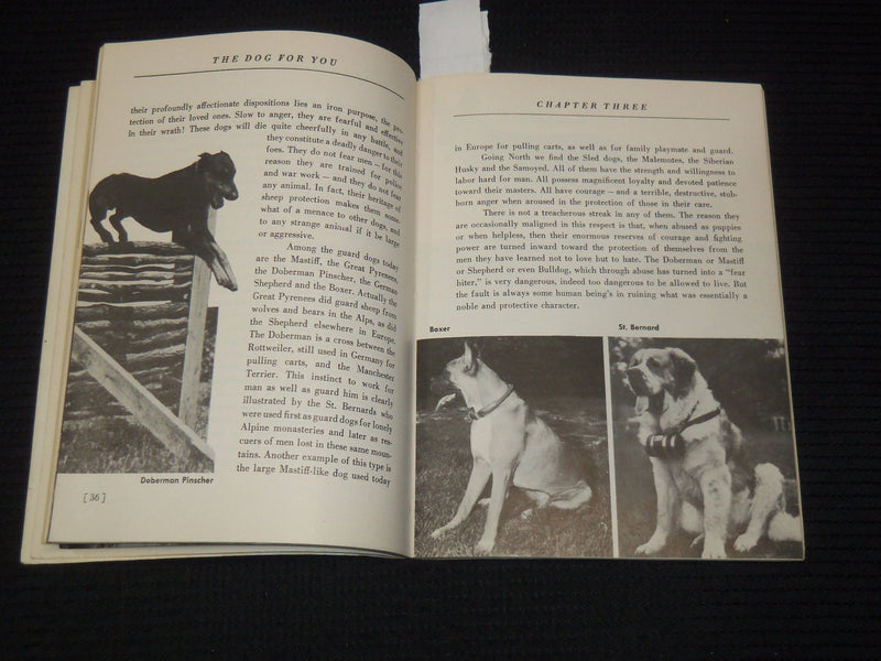 1952 PLAIN TALK ABOUT DOGS BOOK BY MRS. SHERMAN R. HOYT - K 2656
