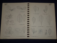 1961 TREES SHRUBS & VINES BOOK BY ARTHUR T. VIERTEL - ILLUSTRATIONS - KD 2501