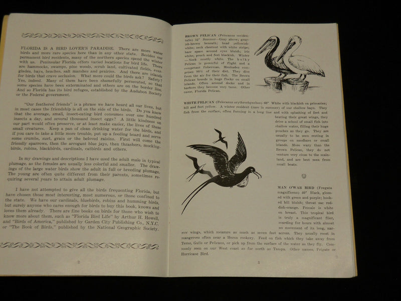 1945 BIRDS OF FLORIDA SOFTCOVER BOOK BY FRANCIS MYLY HALL - J 6563