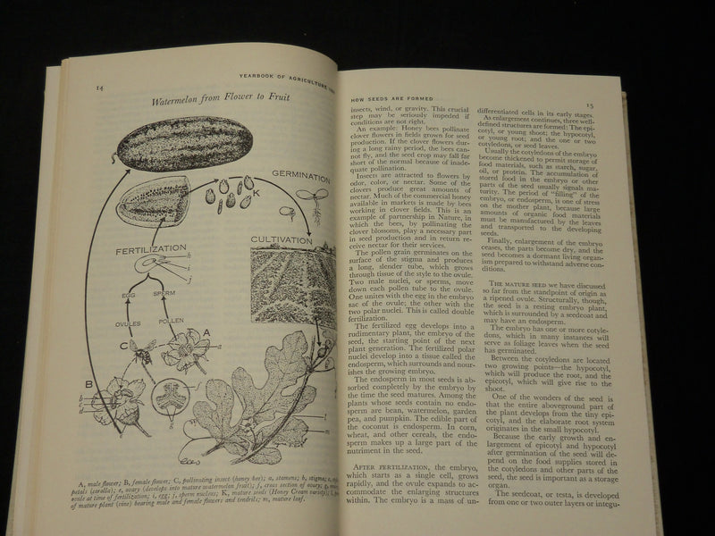 1961 SEEDS THE YEARBOOK OF AGRICULTURE BOOK - U. S. DEPT AGRICULTURE - KD 2756Q