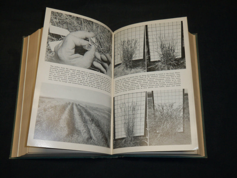 1948 GRASS YEARBOOK PUB. BY UNITED STATES DEPT. OF AGRICULTURE - KD 5946