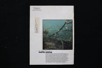1979 SPRING WISCONSIN TRAILS MAGAZINE - PUSSY WILLOWS COVER - SP 4191I