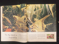 1955 AUGUST 19 COLLIER'S MAGAZINE- LOST LETTERS MARIE-LOUISE TO NAPOLEON-ST 4533