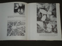 1969 DESIGNING WITH LIGHT ON PAPER AND FILM BOOK BY ROBERT W. COOKE - KD 3800