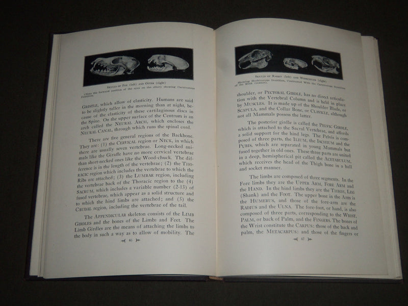 1928 THE MAMMALS OF PENNSYLVANIA BY SAMUEL HOWARD WILLIAMS BOOK - KD 4129