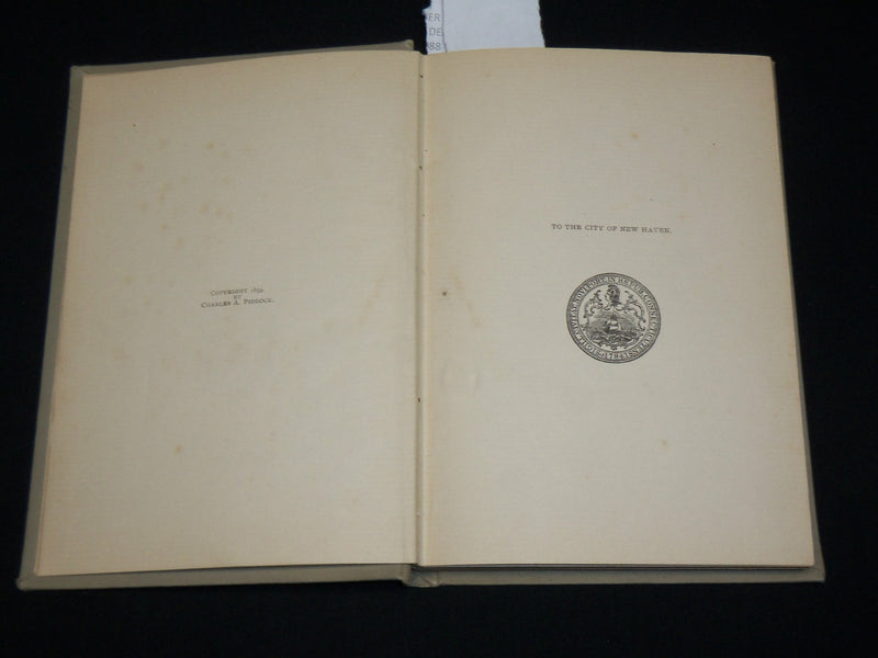 1896 ON THE STATE HOUSE STEPS HARDCOVER BOOK BY MARY REDFIELD POTTER - KD 6385