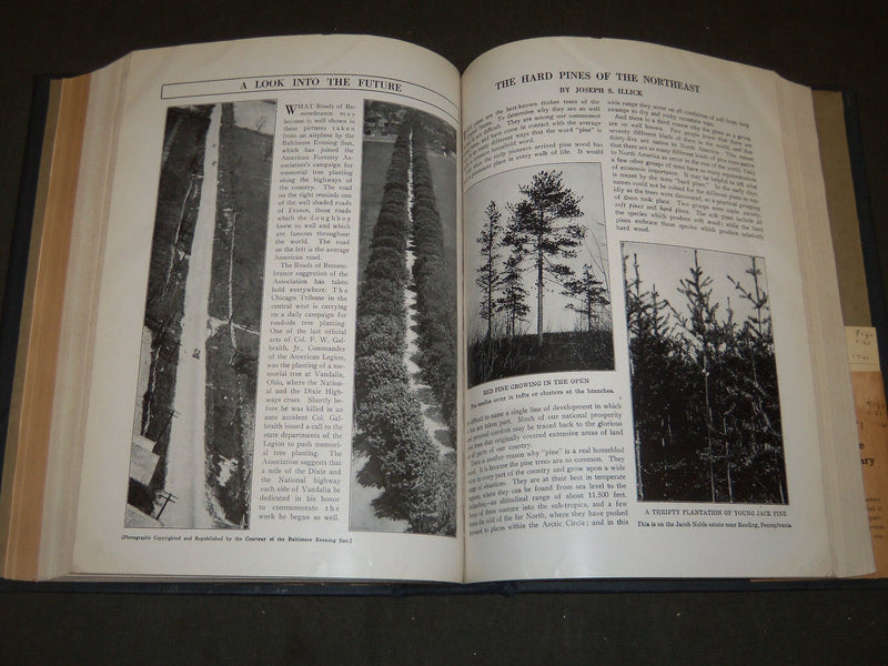 1921 JAN-DEC AMERICAN FORESTRY MAGAZINE BOUND VOLUME - COVERS & ADS - R 401