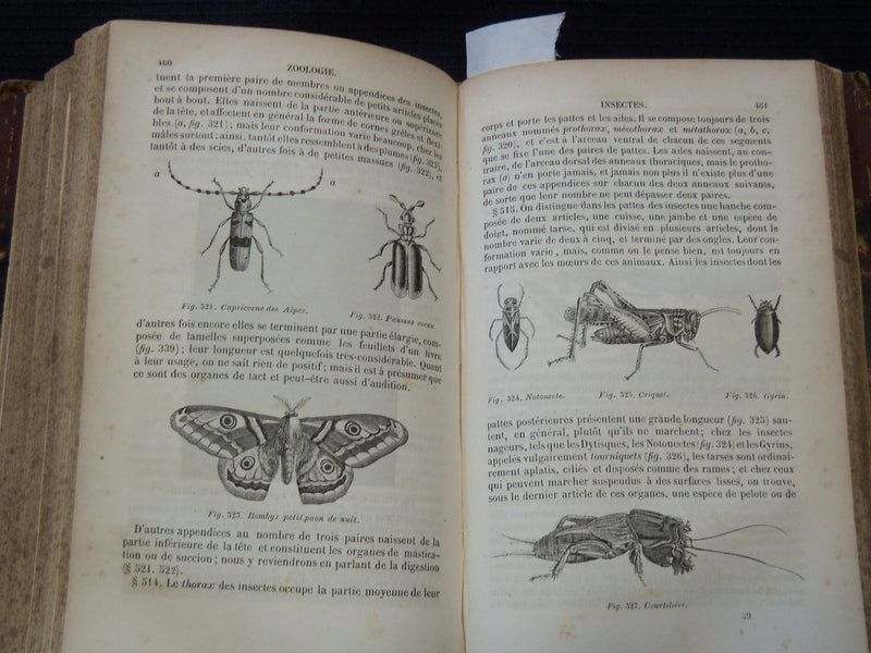 1850 COURS ELEMENTAIRE D'HISTOIRE NATURELLE FRENCH VOLUME - KD 7713