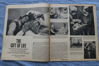 1965 DEC 19 PARADE SUNDAY CALL-CHRONICLE - ALLENTOWN, PA -FAVORITE TOYS- NP 8483