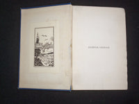 1885 DYNEVOR TERRACE OR THE CLUE OF LIFE HARDCOVER BOOK - ADRIAN STOKES- KD 9217