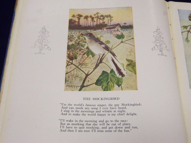 1924 THE BIRD FOOT-RACE IN FOLLIES BY ROBERT SAMIS BOOK - NICE ILLUS. - KD 1495