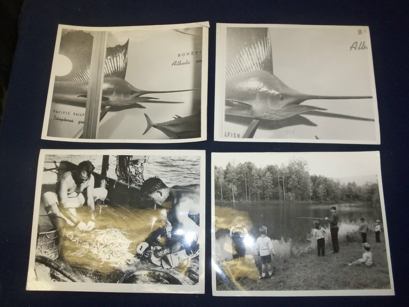 VINTAGE FISHING PUBLICITY PHOTOS - LOT OF 8 - J 4627
