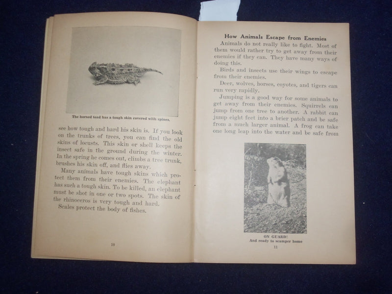 1935 PROTECTION IN NATURE BY GAYNELLE DAVIS - UNIT STUDY BOOK NO. 352 - J 9486