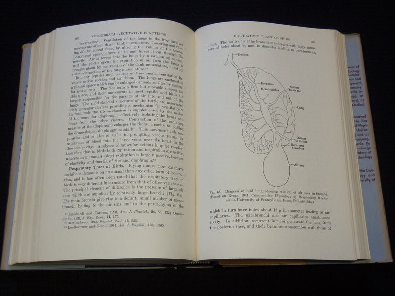 1948 COMPARATIVE PHYSIOLOGY HARDCOVER BOOK BY BRADLEY T. SEHEER - KD 7875