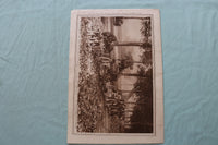 1914 OCT 22 NEW YORK TIMES MID-WEEK PICTORIAL WAR EXTRA-ALGERIAN CAVALRY-NP 9120