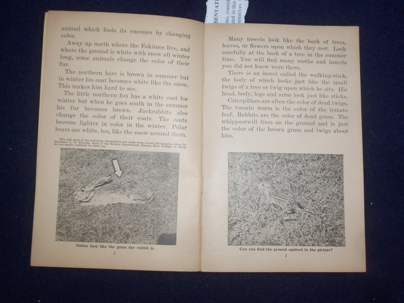 1935 PROTECTION IN NATURE BY GAYNELLE DAVIS - UNIT STUDY BOOK NO. 352 - J 9486